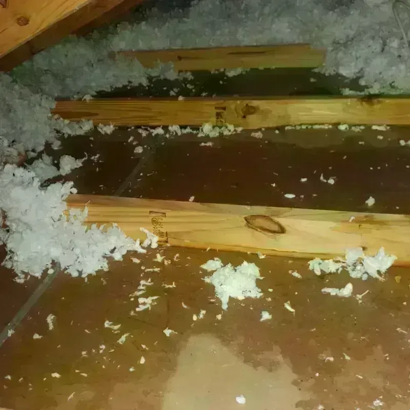 Attic Water Damage in Stuart, IA